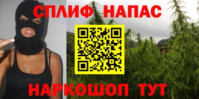 прущие крисы Партизанск