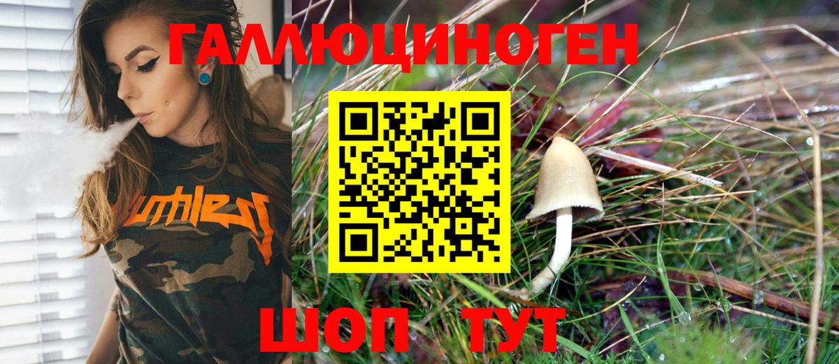 Псилоцибиновые грибы Psilocybe  Вход с VPN  Ставрополь 
