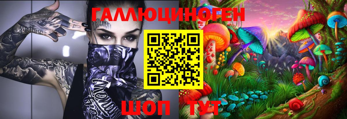 Галлюциногенные грибы Psilocybine cubensis Ставрополь